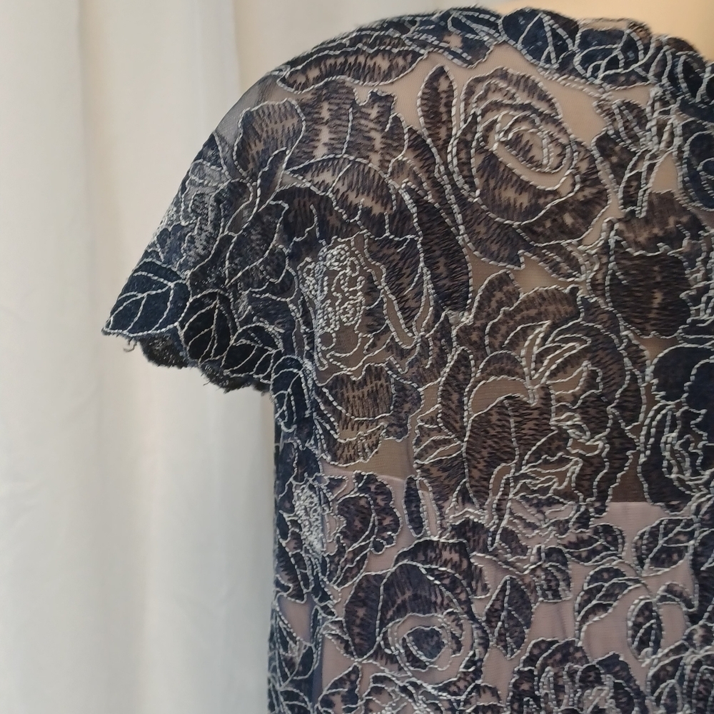 TADASHI SHOJI TOO SiZE 18Q. Elegant Lace Overlay Dress - Picture 8 of 16